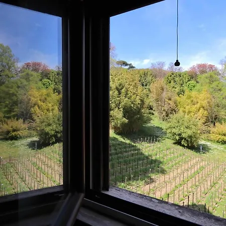 Apartman Il Mulino Di Trastevere - My Extra *