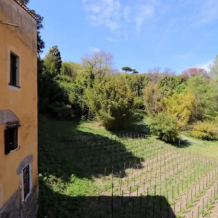 Il Mulino Di Trastevere - My Extra * Rzym